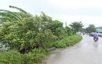 Rút kinh nghiệm từ bão số 1, chủ động ứng phó bão số 2