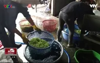 Đồng Nai: Bắt quả tang cơ sở sử dụng hóa chất ngâm rau muống bào