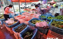 Xăng giảm giá, giá hàng hóa vẫn “đứng yên”