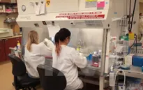 Pháp, Mỹ hợp tác phát triển vaccine Zika
