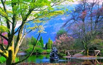 Du lịch Scotland - Bạn sẽ ngỡ như được đi vòng quanh thế giới