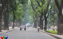 Hà Nội lọt top 10 điểm đến được yêu thích nhất năm 2016 của TripAdvisor