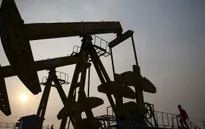 Chuyên gia nhận định OPEC sẽ không giảm sản lượng trong nửa đầu năm 2016