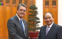 Thủ tướng Nguyễn Xuân Phúc tiếp Tổng Giám đốc WTO