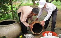 Bộ Y tế lập đường dây nóng phòng virus Zika