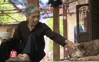 Cảm thương số phận cụ bà sống côi cút một mình