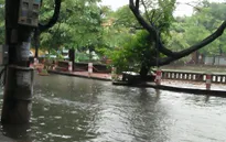 Mưa gió cực mạnh, Hà Nội ngập úng, cây đổ ngổn ngang