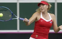 Sharapova chia tay Brisbane International vì chấn thương