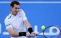 Andy Murray thất bại trong trận đấu cuối cùng của năm 2016