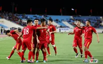 Đội hình tiêu biểu AFF Cup 2016: 2 tuyển thủ Việt Nam góp mặt!