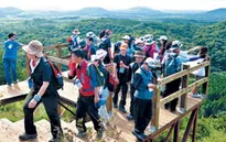 Tìm thêm 9 người Việt “mất tích” trên đảo Cheju, Hàn Quốc