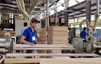 Xuất khẩu gỗ sang Anh và EU chưa bị ảnh hưởng bởi Brexit