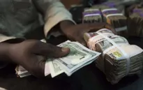 Ngân hàng Nigeria ngừng bán USD do "đói" ngoại tệ