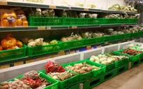 Xuất khẩu rau quả vượt xuất khẩu gạo