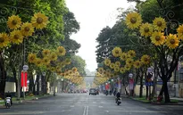 Đường phố Sài Gòn vắng vẻ sáng mùng 1 Tết