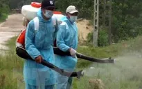 Đã xác định nơi ở và làm việc của bệnh nhân Hàn Quốc nhiễm Zika tại Việt Nam