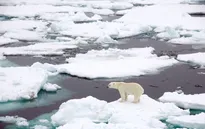 Băng tan kỷ lục ở Greenland
