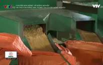 Nông dân Nam Định đóng góp tích cực trong tái cơ cấu ngành nông nghiệp