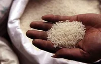 Giá gạo xuất khẩu Việt Nam cao nhất thế giới
