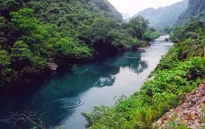 Du lịch vườn thực vật Phong Nha - Điểm mới hấp dẫn du khách