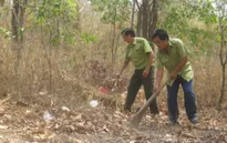 Các tỉnh miền Trung - Tây Nguyên chủ động phòng chống cháy rừng