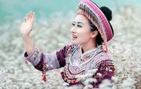 Sao mai Giàng Hoa ra mắt DVD đầu tay