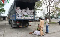 Thanh Hóa: Thu giữ hàng chục tấn tóp mỡ, nội tạng bẩn