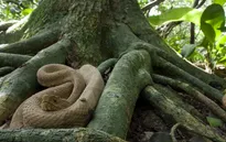 10 địa danh nguy hiểm nhất thế giới mà du khách không muốn ghé thăm