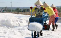 Đồng bằng sông Cửu Long: Để hạt muối không còn vị "đắng" (17h20, 4/11, VTV1)