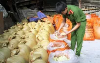 Lào Cai: Bắt giữ 10 tấn măng tươi ngâm hóa chất độc hại