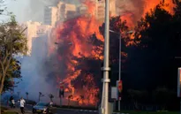 Cháy rừng tại Israel, 80.000 người phải sơ tán