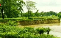 Ngành chè Ấn Độ điêu đứng vì sạt lở đất