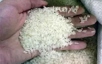 Xuất hiện gạo lạ nghi làm giả ở Quảng Trị