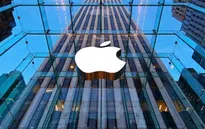 CEO Tim Cook bị Apple cắt giảm lương lần đầu tiên