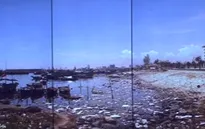 Ô nhiễm nghiêm trọng tại Âu thuyền Thọ Quang, Đà Nẵng