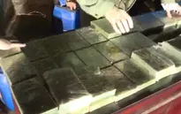 Phú Thọ bắt vụ vận chuyển 300 bánh heroin ngụy trang bằng đỗ tương
