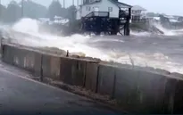 Bão nhiệt đới Hermine gây mưa lớn tại Mỹ