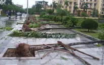 Bão số 1 đã suy yếu thành áp thấp nhiệt đới