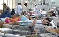 Gia tăng tai nạn giao thông do rượu bia ngày Tết
