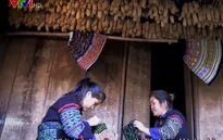 Người phụ nữ dân tộc Mông đấu tranh chống nạn buôn người