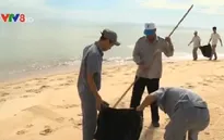Doanh nghiệp du lịch chung tay bảo vệ môi trường biển TT-Huế