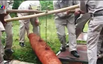 Phát hiện bom hơn 200kg tại Quảng Trị