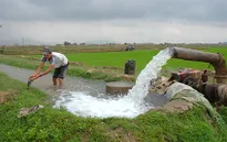 Bộ NN&PTNT kiểm tra việc lấy nước đổ ải vụ Đông Xuân