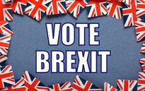 Cử tri Anh bỏ phiếu Brexit: Con cá mất là con cá to?
