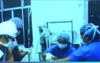 Phẫu thuật thành công cho bé mới sinh mắc bệnh hiếm gặp