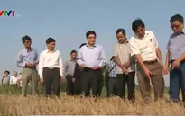 Bộ trưởng Bộ NN&PTNT kiểm tra hạn hán, xâm nhập mặn tại Kiên Giang