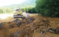 Giám sát 3 năm liên tục quá trình xử lý môi trường tại Formosa