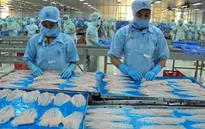 Thượng viện Mỹ bác chương trình giám sát cá da trơn: Tin tốt cho Việt Nam