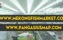 Sẽ có sàn giao dịch cá tra