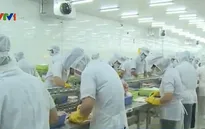 Cảnh báo lừa xuất khẩu lao động sang Trung Quốc